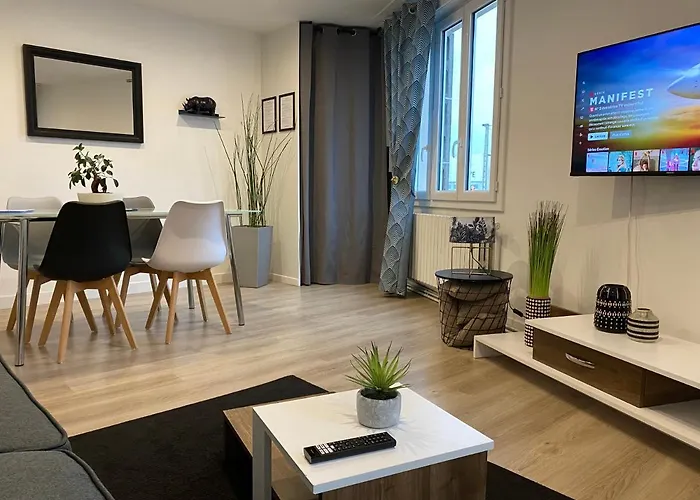Appartement Cholet les Halles coté jardin